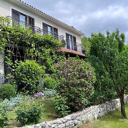 Apartment Vista Lupoglav  Dış mekan fotoğraf