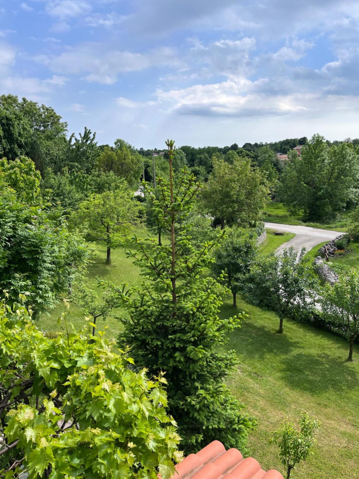 Apartment Vista Lupoglav  Dış mekan fotoğraf
