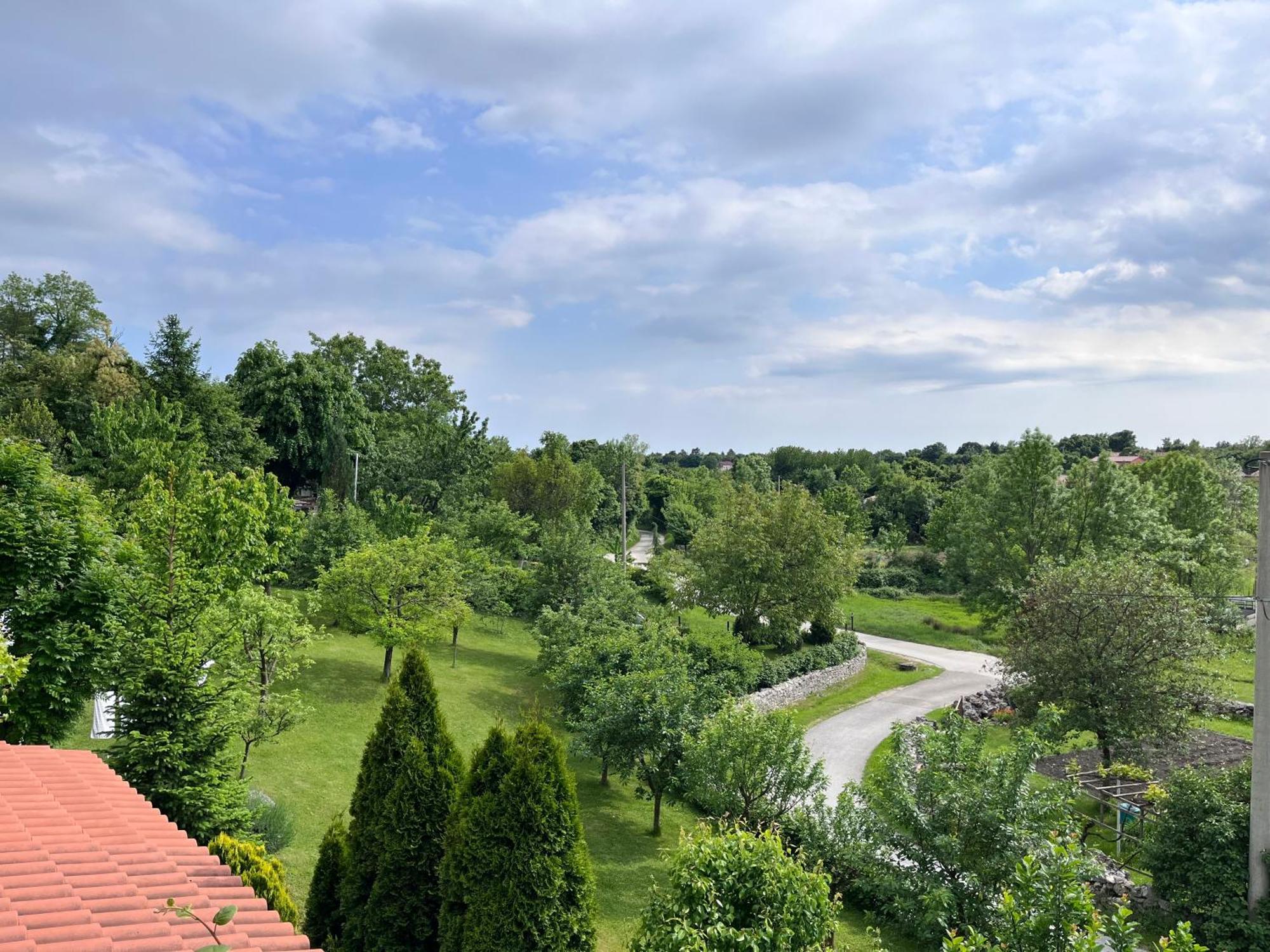 Apartment Vista Lupoglav  Dış mekan fotoğraf